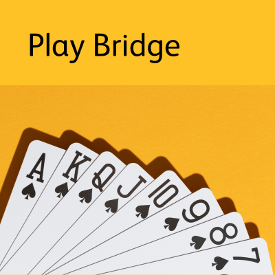 Play bridge