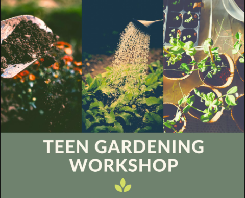 Teen Gardening Workshop
