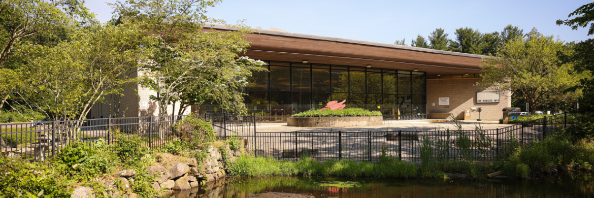 Chappaqua Library exterior