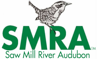 saw mill river audubon logo with bird