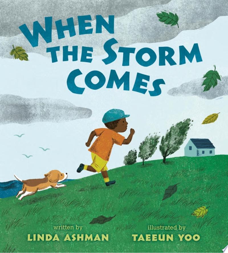 Image for "When the Storm Comes"