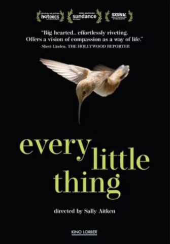 movie poster, every little thing