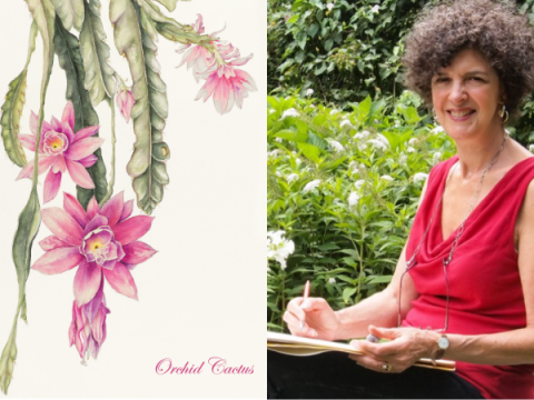 Susan Lanzano botanical art in watercolor