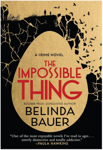 Book Cover Impossible Thing