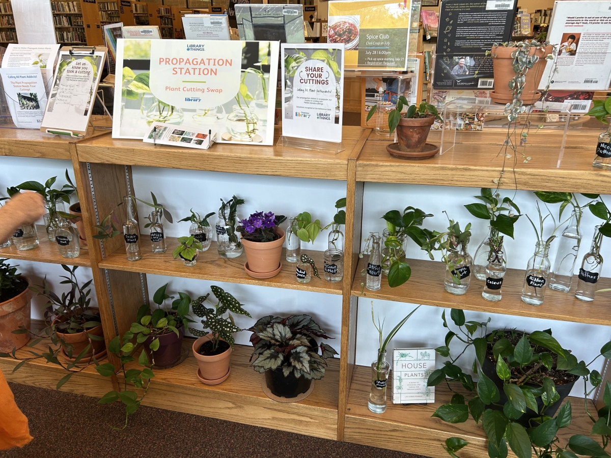 Propagation station helps us create new plants