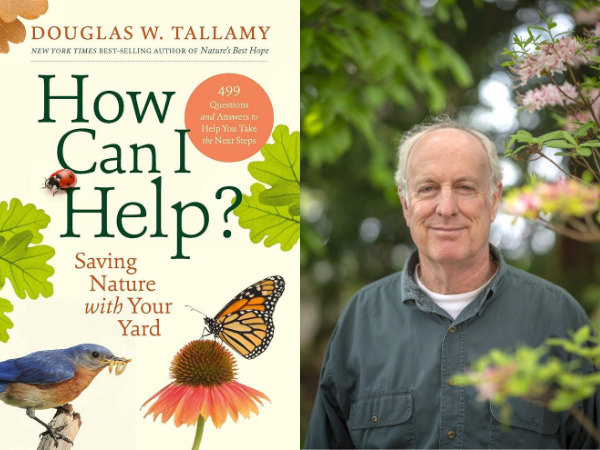 Douglas Tallamy How Can I Help