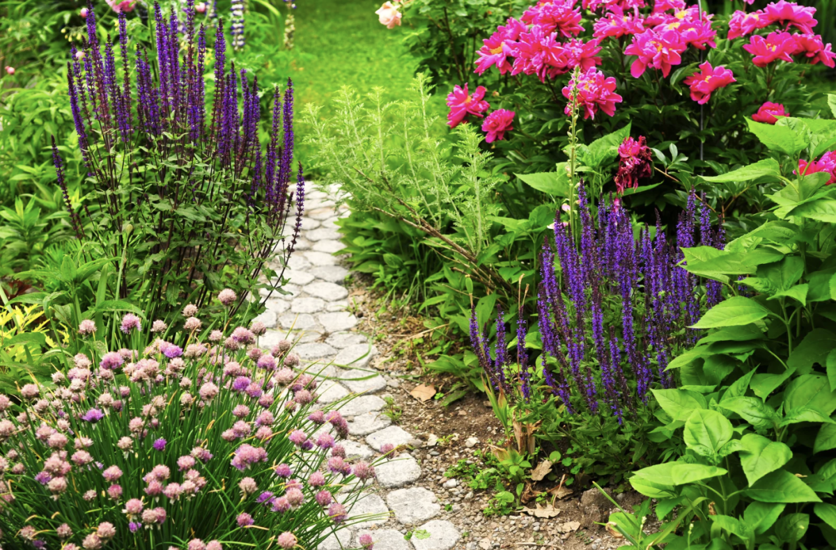 backyard garden with flowers and a path