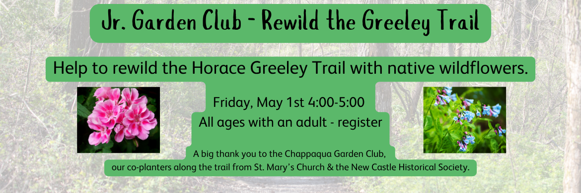 Jr. Garden Club - Rewild the Greeley Trail. Help to rewild the Horace Greeley Trail with native wildflowers. Friday, May 1st 4:00-5:00 all ages with an adult - register. A big thank you to the Chappaqua Garden Club, our co-planters along the trail from St. Marcy's Church & The New Castle Historical Society